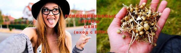 гидропоника Алексин