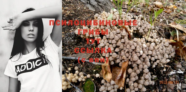 гидра Алзамай