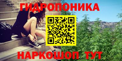 сатива Волгодонск