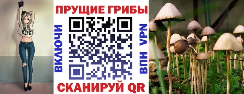 Псилоцибиновые грибы ЛСД  Кашира 