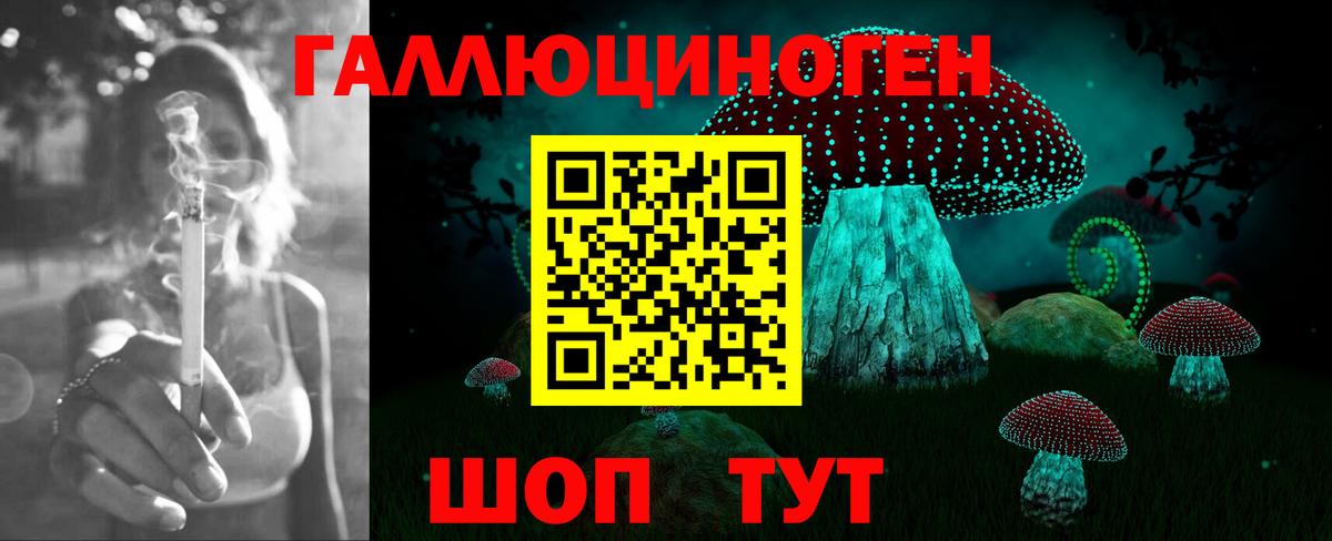 Псилоцибиновые грибы Psilocybe  Вход с VPN  Кашира 