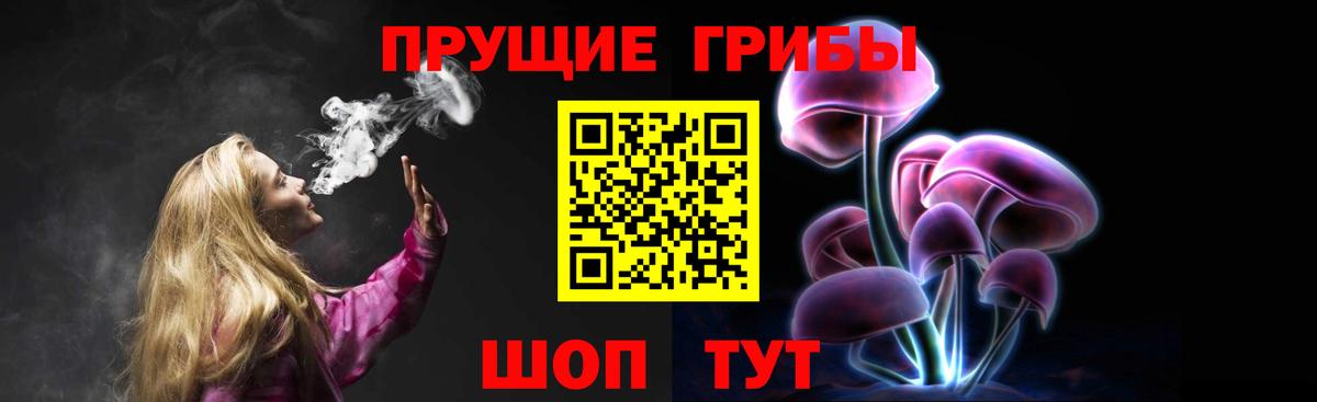 купить   Кашира  Галлюциногенные грибы мухоморы 